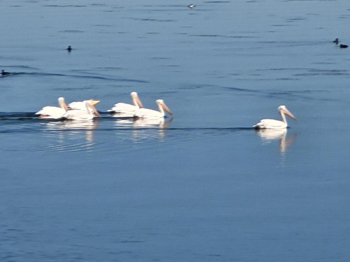 Lake Front Resort Lakeport Luaran gambar
